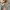 atasan crop bunga lengan balon poci premi photo 5