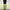 sweat pants baggy dit by bellide photo 1