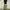 sweat pants baggy dit by bellide photo 2