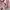 atasan crop pink katun iket tali belakang (-)apa adanya photo 7