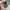 atasan polkadot vintage semi crop lengan balon photo 5