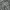 Military Cargo Pants Camouflage Pattern