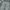 Carnaby Cargo Pants Camouflage Pattern