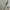 Yves Saint Laurent YSL Vintage Casual Bomber jacket Pria cream photo 3