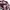 Crocodile Grunge Gothic Crop Floral Polo photo 3
