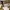 Baggy barrel U photo 2