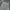 Wintop Cargo Pants Camouflage Pattern photo 5