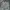 Wintop Cargo Pants Camouflage Pattern