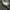 Hoodie Zipper Nike tech  photo 4