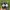 Adidas Streetwear Y2K Sneakers Pria white black photo 6
