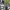 Adidas Streetwear Y2K Sneakers Pria white black photo 2