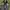 Adidas Streetwear Y2K Sneakers Pria white black photo 4