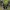 Adidas Streetwear Y2K Sneakers Pria white black photo 5