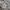 Luxury Casual Blazer Pria white gray photo 5