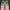 Onitsuka Tiger Streetwear Sneakers Wanita pink photo 4