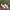 Onitsuka Tiger Streetwear Sneakers Wanita pink photo 1