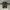 North Star Sneakers Lifestyle Praga Black and White photo 6