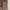 Brown Dress / top photo 1