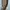 Brown Outer Long photo 3