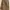 Brown Outer Long photo 2