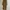 Brown Outer Long photo 1