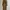 Brown Outer Long