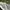 VANS Skater Sneakers Pria gray photo 2