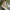 VANS Skater Sneakers Pria white gray yellow photo 2