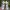 VANS Skater Sneakers Pria white gray yellow photo 4