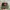 Red Star Mao Zedong Green Caded Hat