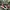VANS Streetwear Skater Sneakers Pria red black photo 1