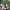 VANS Streetwear Skater Sneakers Pria white green photo 3