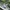VANS Streetwear Skater Sneakers Pria white green photo 2