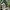VANS Streetwear Skater Sneakers Pria white green photo 4