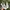 Converse Streetwear Sneakers Pria white black photo 3