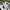 Converse Streetwear Sneakers Pria white black photo 2