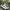 Converse Streetwear Sneakers Pria White Black