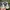 Converse Streetwear Sneakers Pria white black photo 6