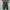 Adorable project - elle loafer green photo 1