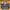 Longcham Size S 