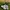 New Balance Sportswear Sneakers Pria white photo 1