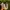 Salomon Gorpcore Sneakers Pria white photo 3