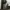 CARGO PANTS EXAVER MULTIPOCKET photo 1