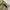 CARGO PANTS ARMY MULTIPOCKET photo 8
