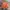 thisisneverthat Vintage Streetwear Sweater Pria orange photo 2