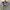 Vintage Swiftly Road Golf Polo Shirt photo 3