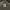 HOODIE PRIA NBA photo 5
