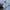 Insulated jacket winter puffer double zipp inner sherpa cake photo 6