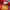 Vintage Snapback Line Haul Trucking photo 5