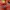 Leaves Strawberry Jacket Orange Blossom Floral Jacket photo 6